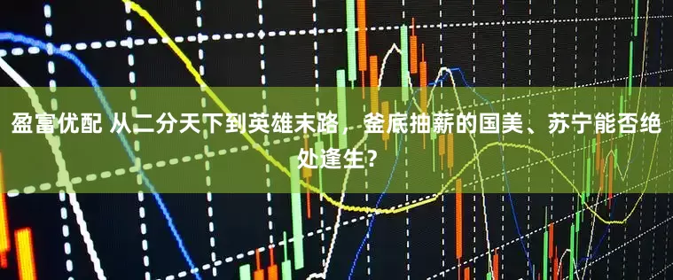 盈富优配 从二分天下到英雄末路，釜底抽薪的国美、苏宁能否绝处逢生？