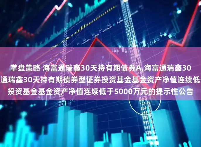 掌盘策略 海富通瑞鑫30天持有期债券A,海富通瑞鑫30天持有期债券C: 关于海富通瑞鑫30天持有期债券型证券投资基金基金资产净值连续低于5000万元的提示性公告