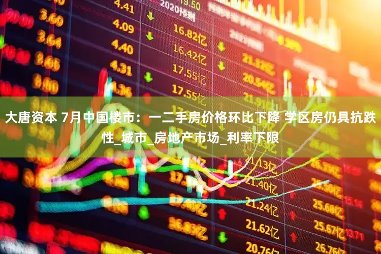 大唐资本 7月中国楼市：一二手房价格环比下降 学区房仍具抗跌性_城市_房地产市场_利率下限