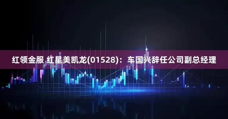 红领金服 红星美凯龙(01528)：车国兴辞任公司副总经理